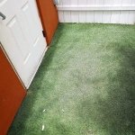 Dog kennels, Animal relief areas, Service Animal Relief Areas, pet relief area, airport pet relief areas, Artificial grass, synthetic grass, fake grass, canine drainage, K9 drainage, doggy daycare, doggy day care, doggy grass, doggie grass, doggie daycare, doggie day care, outdoor carpet, k9 grass, canine grass, K9 turf, canine turf, potty patch, faux grass, artificial lawn, synthetic lawn, fake lawn, k9, k9 drainage, synthetic turf, artificial turf, dog run, kennel drainage, kennels, Artificial grass, synthetic grass, doggy day care, canine grass, porch potty, canine turf, potty patch, faux grass, artificial lawn, synthetic lawn, K9 grass, K9 turf, pet play area, airgrid, air grid, kennel, outdoor dog kennel, k9 kennels,