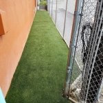 Dog kennels, Animal relief areas, Service Animal Relief Areas, pet relief area, airport pet relief areas, Artificial grass, synthetic grass, fake grass, canine drainage, K9 drainage, doggy daycare, doggy day care, doggy grass, doggie grass, doggie daycare, doggie day care, outdoor carpet, k9 grass, canine grass, K9 turf, canine turf, potty patch, faux grass, artificial lawn, synthetic lawn, fake lawn, k9, k9 drainage, synthetic turf, artificial turf, dog run, kennel drainage, kennels, Artificial grass, synthetic grass, doggy day care, canine grass, porch potty, canine turf, potty patch, faux grass, artificial lawn, synthetic lawn, K9 grass, K9 turf, pet play area, airgrid, air grid, kennel, outdoor dog kennel, k9 kennels,