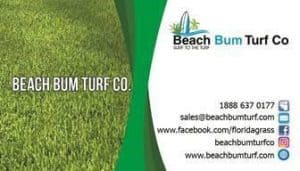 Beach Bum Turf