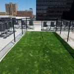 green roof, Animal relief areas, Service Animal Relief Areas, pet relief area, airport pet relief areas, Artificial grass, synthetic grass, fake grass